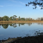 Oude Buisse Heide