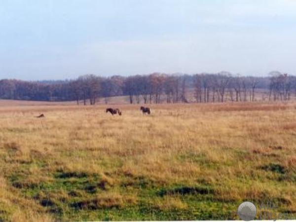 Nationaal Park Utrechtse Heuvelrug