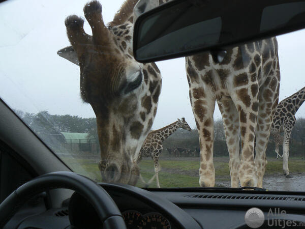 Safaripark Beekse Bergen