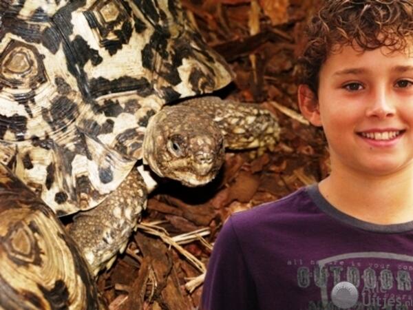Schildpaddencentrum