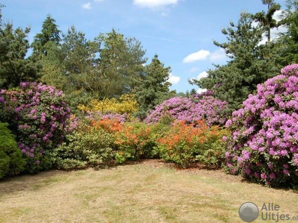 Von Gimborn Arboretum