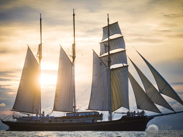 Wereld Haven Dagen