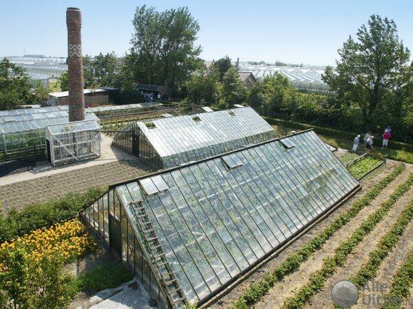 Westlands Museum